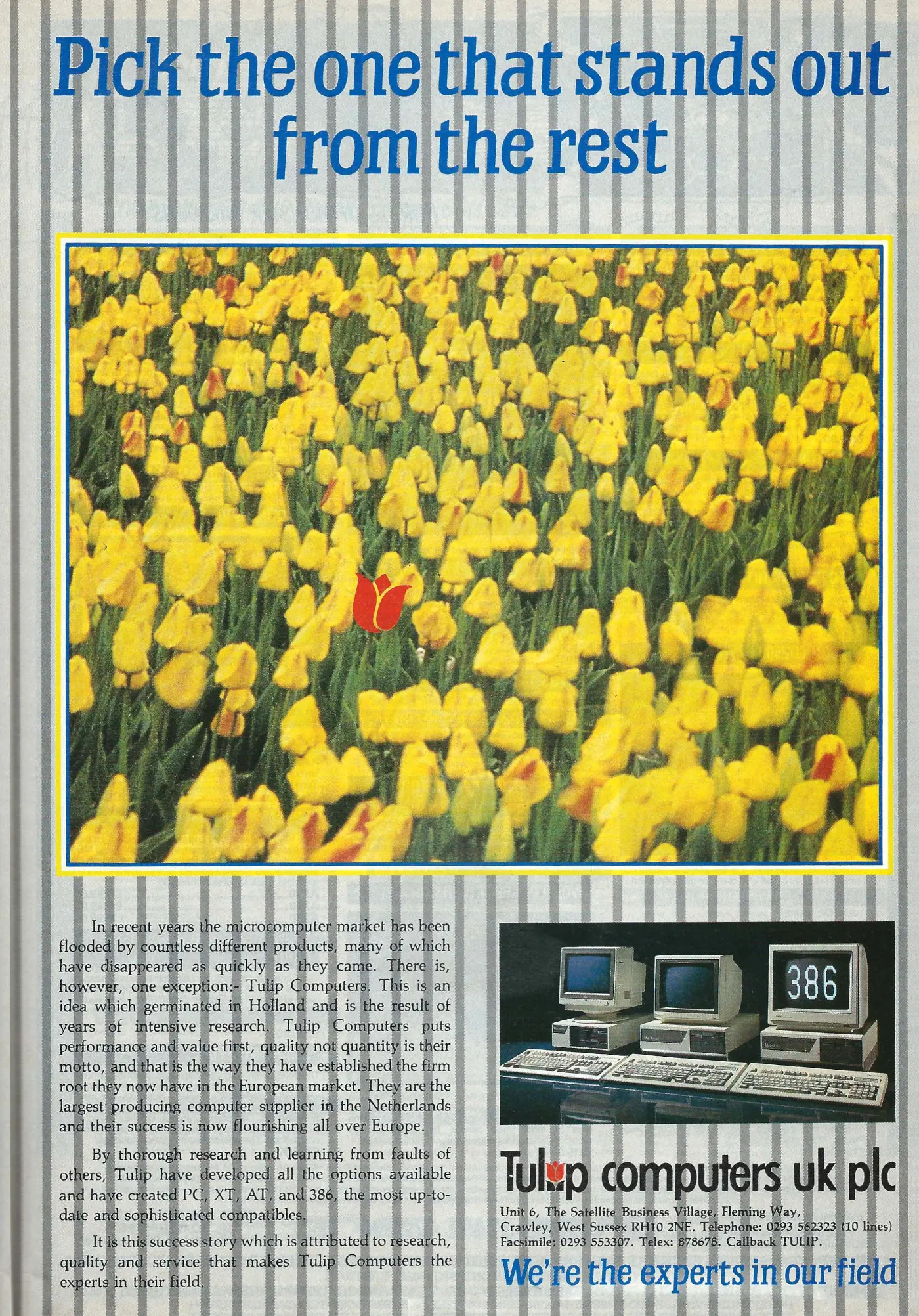 Tulip/Compudata Advert: Tulip: Pick the one that stands out from the rest, from Practical Computing, November 1987