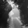 A misty morning on Meadow Way, on the way to the station, Learning Black-and-White Photography, Brockenhurst College, Hampshire - 10th March 1985