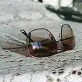 An attempt at an arty photo of sunglasses, Brockenhurst College Exams and Miscellany, Barton on Sea, Hampshire - 10th June 1985