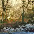 A Dartmoor river, Uni: A Ride on the Plym Valley Cycle Path, Plymstock, Devon - 26th February 1989