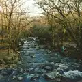 Riki stands by the River Plym, Uni: A Ride on the Plym Valley Cycle Path, Plymstock, Devon - 26th February 1989