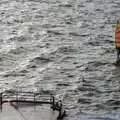 A windsurfer braves the winds, Uni: Totnes and Dartmoor Pasties, Devon - 2nd March 1989