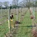 Mother does some pruning, The Vineyard, Christchurch and Pizza, New Milton and the New Forest - 2nd April 1989