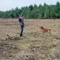 Hamish lobs a stick for Geordie, The Vineyard, Christchurch and Pizza, New Milton and the New Forest - 2nd April 1989