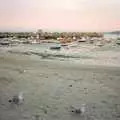 A couple of herring gulls roam around on the beach, Uni: An End-of-it-all Trip to Land's End, Cornwall - 13th June 1989