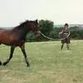 Angela excercises Oberon on a lunge, Uni: A Trip to the Riviera and Oberon Gets New Shoes, Torquay and Harbertonford, Devon - 3rd July 1989