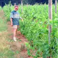 Hamish in the vines, Back From Uni: Summer Pruning, Bransgore, Dorset - 25th July 1989