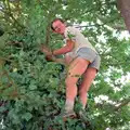 Phil climbs a tree, Back From Uni: Summer Pruning, Bransgore, Dorset - 25th July 1989