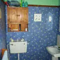 The bathroom has a new starry colour scheme, Spammy's Barbeque and A Summer Miscellany - 1st June 2002