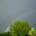 There's a rainbow over next door, Spammy's Barbeque and A Summer Miscellany - 1st June 2002