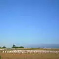 A million geese in a field off Fen Road, BSCC Rides, Petanque at the Swan and July Miscellany - 21st July 2002