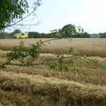 The side field is harvested, BSCC Rides, Petanque at the Swan and July Miscellany - 21st July 2002