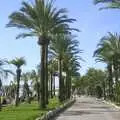 Palm trees on the Croisette, 3G Lab at the 3GSM Conference, Cannes, France - 17th February 2003