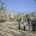 Men play boules, 3G Lab at the 3GSM Conference, Cannes, France - 17th February 2003