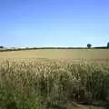 Rolling Suffolk wheat fields, The BSCC Annual Bike Ride, Orford, Suffolk - 12th July 2003