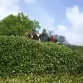 The gang look down from the centre of the maze, A Trip Around Leeds Castle, Maidstone, Kent - 9th May 2004