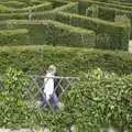 Carolyn strides around in the maze, A Trip Around Leeds Castle, Maidstone, Kent - 9th May 2004