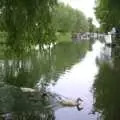 A view up the Cam, Andrey Leaves Trigenix, More Skelton Festival and a Transit of Venus, Cambridge and Diss - 4th June 2004