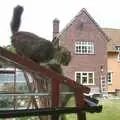 Soph-bags climbs down the greenhouse roof, Longview at the Waterfront, and a Trip to the Shops, Norwich, Norfolk - 27th June 2004