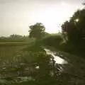 Wet fields between Thelveton and Billingford, The BSCC Annual Sponsored Bike Ride, The Cottage, Thorpe St. Andrew, Norwich  - 18th July 2004