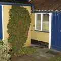 In the cottage's small yard, A Day with Sis, Matt and the Old Man, Saxmundham, Suffolk - 28th December 2004