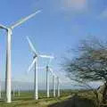 A wind farm and a windswept tree, The Old Man's 70th Birthday, Pontefract, West Yorkshire - 29th January 2005