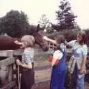 We meet some horses somewhere, Nosher's Family History - 1980-1985