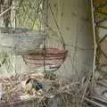 Some hanging baskets, An Elegy for a Shed, Hopton, Suffolk - 28th March 2005