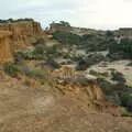 The curious erosion of Torrey Pine, Route 78: A Drive Around the San Diego Mountains, California, US - 9th August 2005