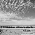 The pier in black and white, California Desert 2: The Salton Sea and Anza-Borrego to Julian, California, US - 24th September 2005