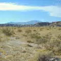 Some desert scrub, California Desert 2: The Salton Sea and Anza-Borrego to Julian, California, US - 24th September 2005