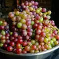 A bowl of grapes from the garden, Andrew Leaves Qualcomm, Cambridge - 18th October 2005