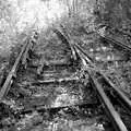 Crossing tracks, Disused Cambridge Railway, Milton Road, Cambridge - 28th October 2005