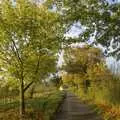 A farm-scheme replanted hedgerow in Thrandeston, Thornham Walled Garden, and Bob Last Leaves the Lab, Cambridge - 20th November 2005