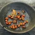 Acorns in a bowl, Thornham Walled Garden, and Bob Last Leaves the Lab, Cambridge - 20th November 2005