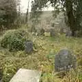 Looking down the hill from the top of the graveyard, A Wander Around Hoo Meavy and Burrator, Dartmoor, Devon - 18th December 2005