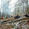 Campfires in the woods, Walk Like a Shadow: A Day With Ray Mears, Ashdown Forest, East Sussex - 29th December 2005