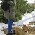 Jen takes a photo, California Snow: San Bernadino State Forest, California, US - 26th March 2006