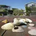 A heap of shells on a table, Phil and the Fair Harbor Fire Engine, Fire Island, New York State, US - 30th April 2006