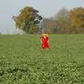 Scarecrow in a field, Qualcomm Christmas, The BBs and Isobel Moves Flats, Cambridge and Ascot, Berkshire - 2nd December 2006