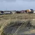 Marram grass in the sand dunes, From East End to East Coast: Brick Lane and Walberswick, London and Suffolk - 9th February 2007