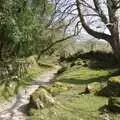 The path to Sheepstor, A Walk up Sheepstor and Visiting Sis and Matt, Dartmoor and Chagford, Devon - 9th April 2007