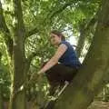 Isobel climbs a tree, A Picnic on The Ling, Wortham, Suffolk - 26th August 2007