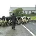 The cow roadblock near a church, Kilkee to Galway, Connacht, Ireland - 23rd September 2007