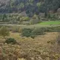 A wooded valley, Reflections: A Day at Glendalough, County Wicklow, Ireland - 3rd November 2007