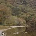 The lake and the woods are all red and browns, Reflections: A Day at Glendalough, County Wicklow, Ireland - 3rd November 2007