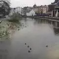 Ducks on Uppsala's river, Gamla Uppsala, Uppsala County, Sweden - 16th December 2007