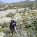 Isobel roams among the cacti, The End of the World: Julian to the Salton Sea and Back, California, US - 1st March 2008