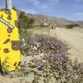 I Poke Badgers with Spoons, The End of the World: Julian to the Salton Sea and Back, California, US - 1st March 2008