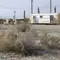 A dead bush, The End of the World: Julian to the Salton Sea and Back, California, US - 1st March 2008